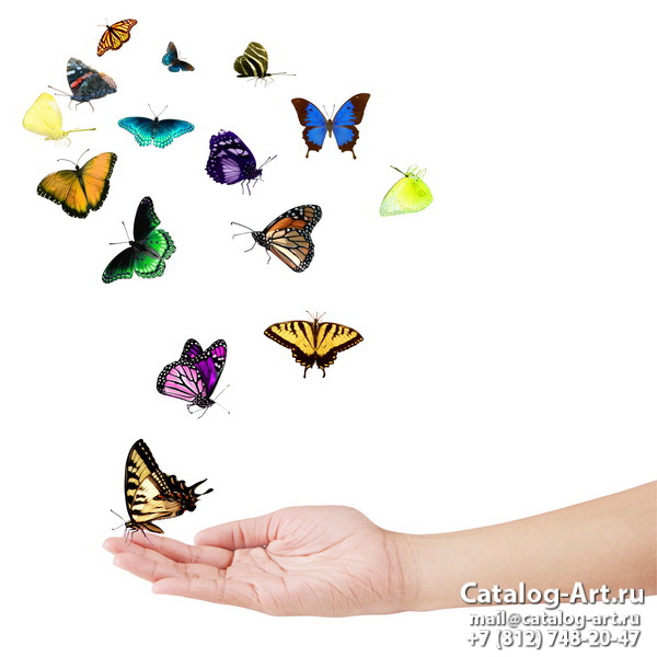  Butterflies 29